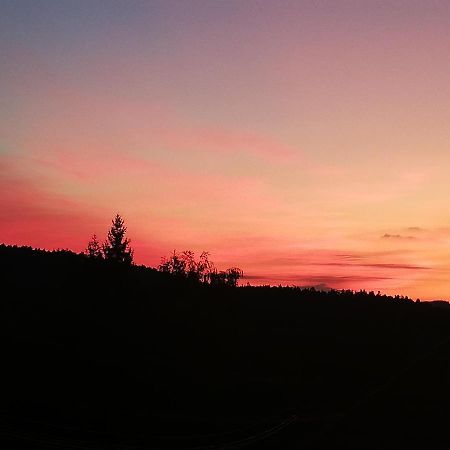 Ferienwohungen Im Kuchersbach Hornberg Eksteriør billede
