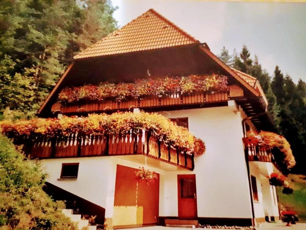 Ferienwohungen Im Kuchersbach Hornberg Eksteriør billede