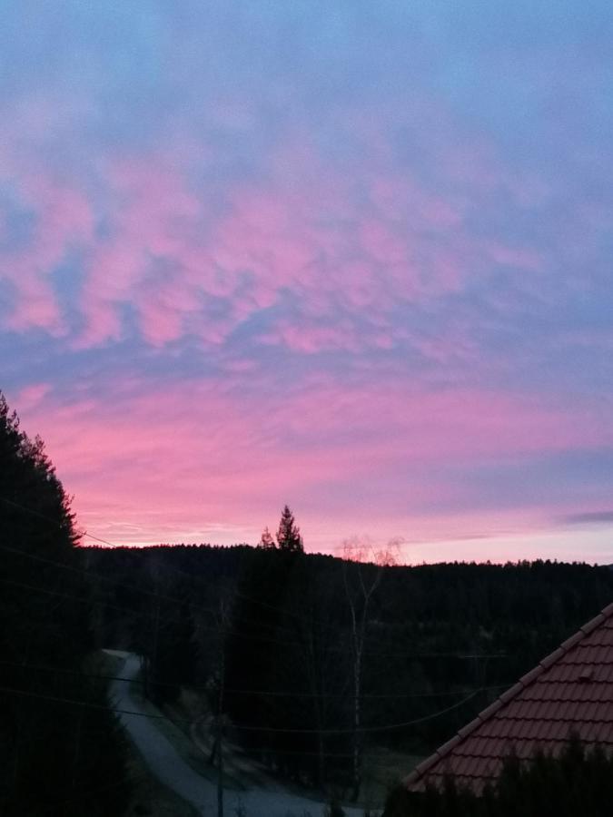 Ferienwohungen Im Kuchersbach Hornberg Eksteriør billede