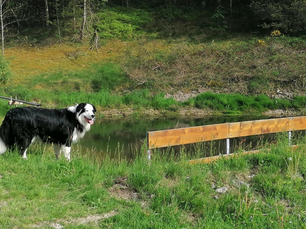Ferienwohungen Im Kuchersbach Hornberg Eksteriør billede