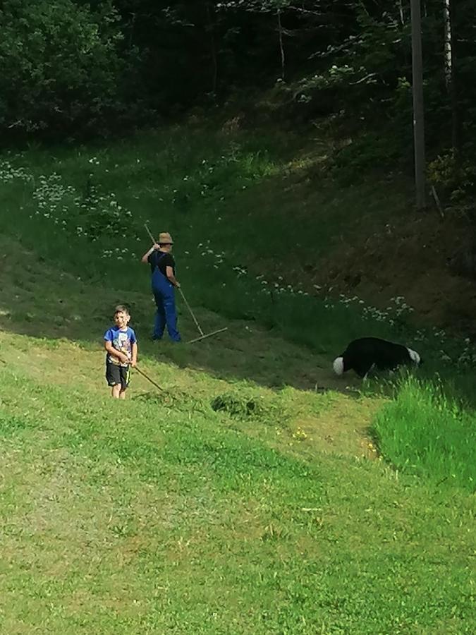Ferienwohungen Im Kuchersbach Hornberg Eksteriør billede