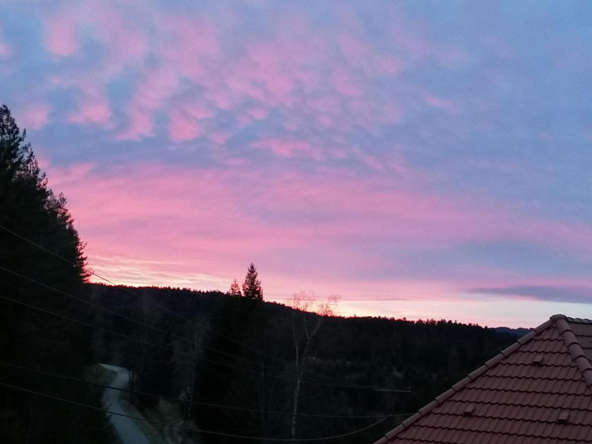 Ferienwohungen Im Kuchersbach Hornberg Eksteriør billede