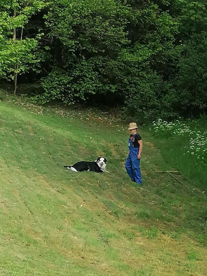 Ferienwohungen Im Kuchersbach Hornberg Eksteriør billede