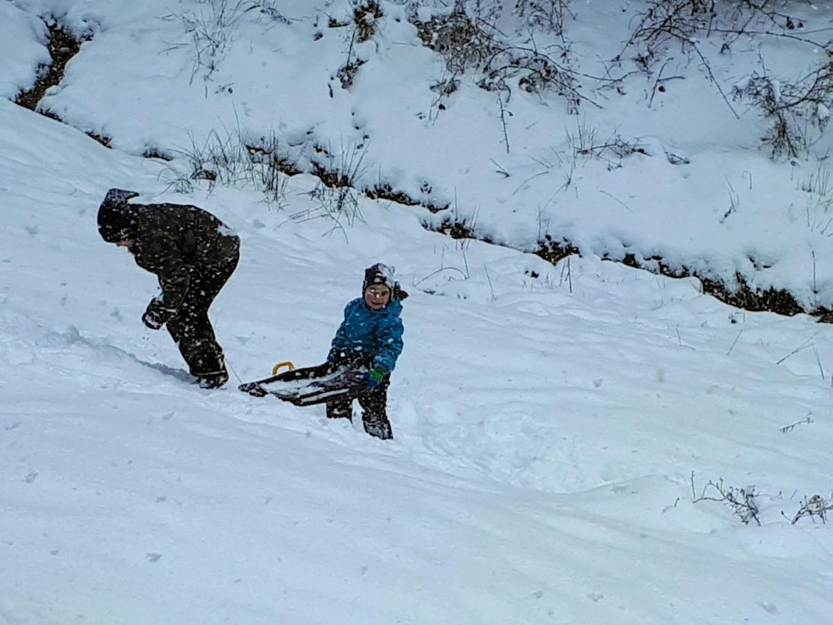 Ferienwohungen Im Kuchersbach Hornberg Eksteriør billede
