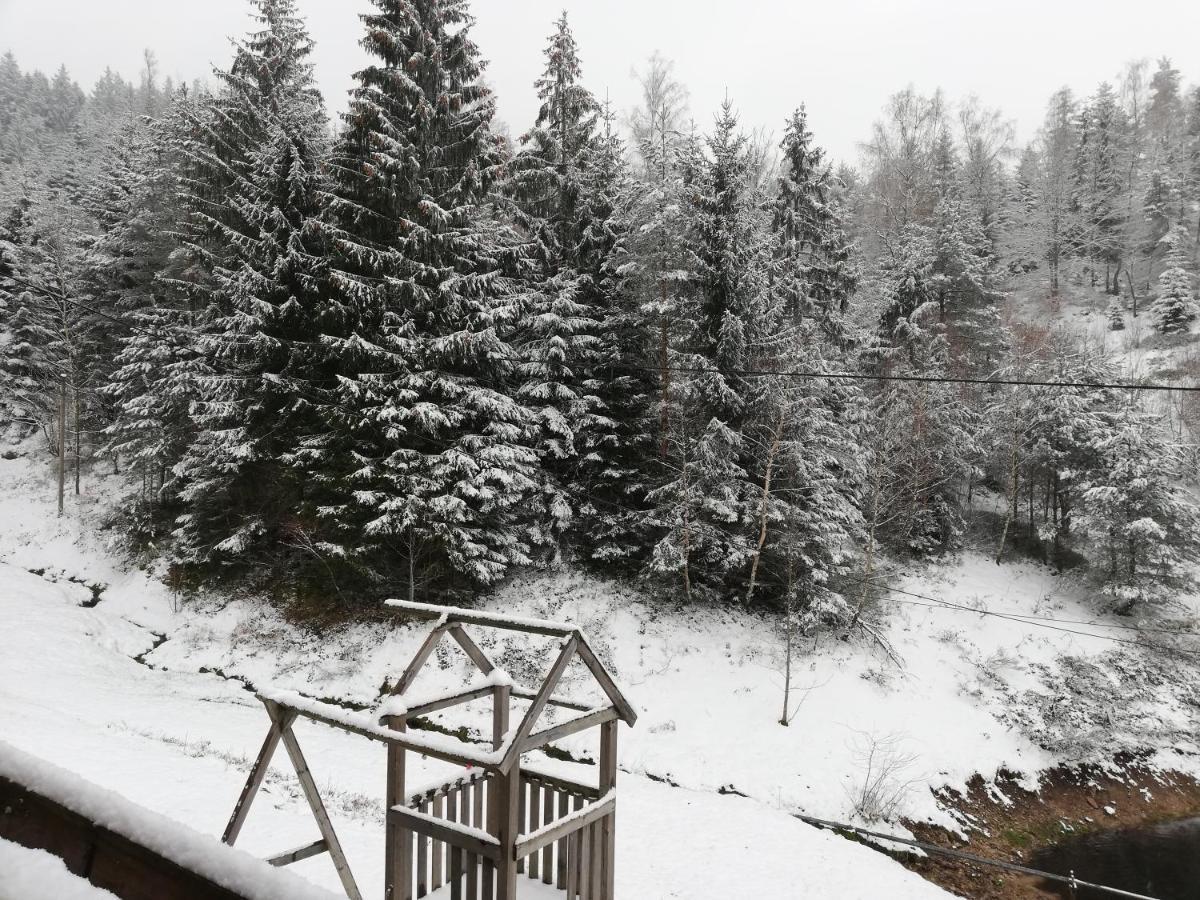 Ferienwohungen Im Kuchersbach Hornberg Eksteriør billede