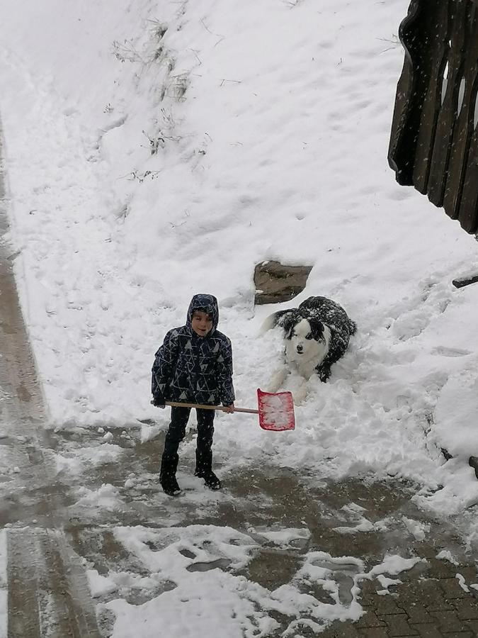 Ferienwohungen Im Kuchersbach Hornberg Eksteriør billede